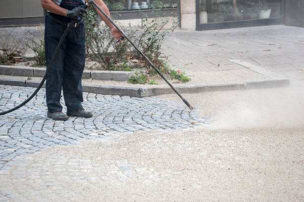 Best Driveway Pressure Washing  in Franklin, CA